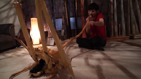 Man turns a spider crab into didgeridoo