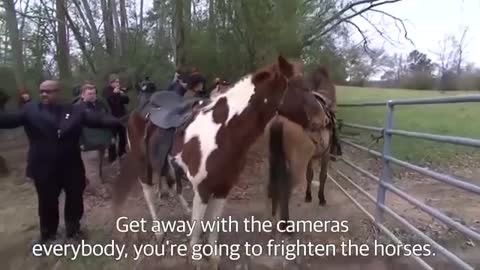 'Don’t frighten the horses'_ Roy Moore arrives on horseback to cast vote