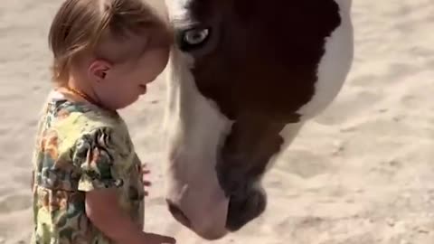 Two-year-old horse whisperer