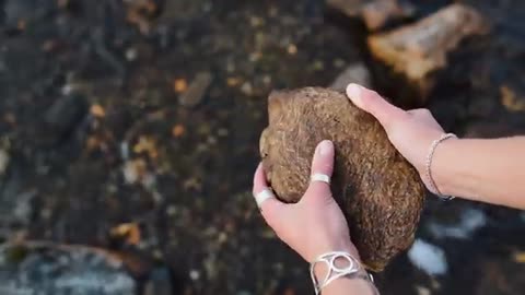 The art of balancing stones