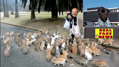 DR PHIL LOVES HIS RABBITS