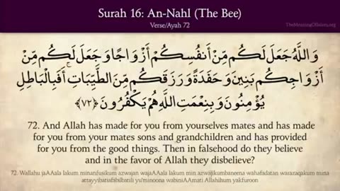 Quran: 16. Surat An-Nahl (The Bee) Part No 03: Arabic to English Translation HD