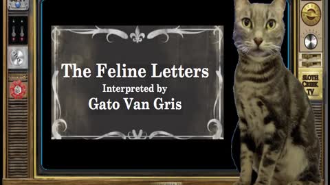 SlothCreek TV : A Letter from Klaus Schwab's Cat