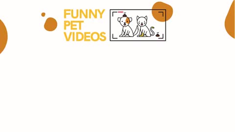Funniest Try Not To Laugh Pet Videos & Fails