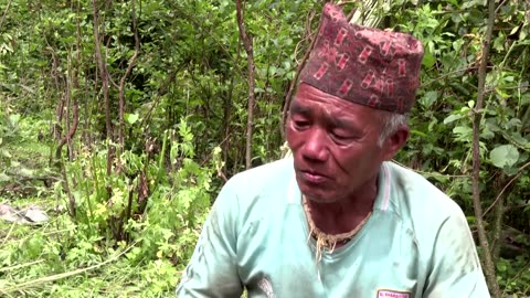 Honey hunters in Nepal face dwindling bee numbers