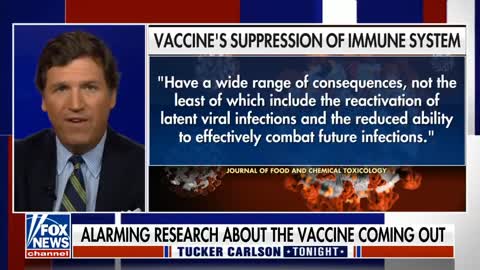 Tucker Carlson says its 'likely the vaccine might suppress the immune system.'