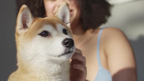 Cute dog video # compliation 1