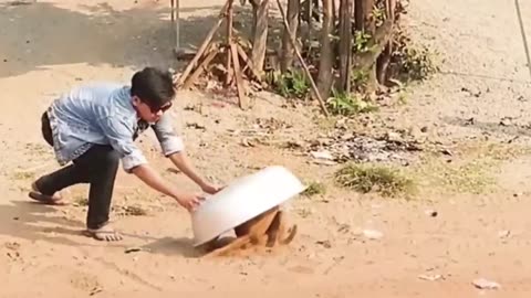 Viral fake Lion and Fake Tiger Prank To dog & Prank Dog Funny & Huge Box Prank to dog_3