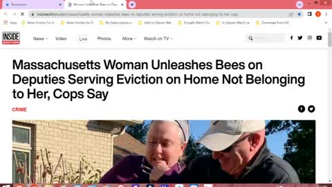 Chaos News Special Bees Vs. Cops Edition
