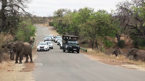 Kruger National Park