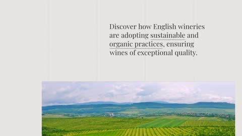 Vineyard Elegance: Exploring the Rich Palette of British Red Wines