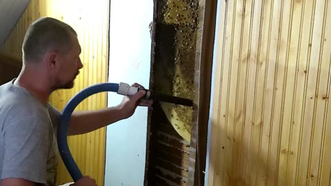 Beehive removal to rehome the bees