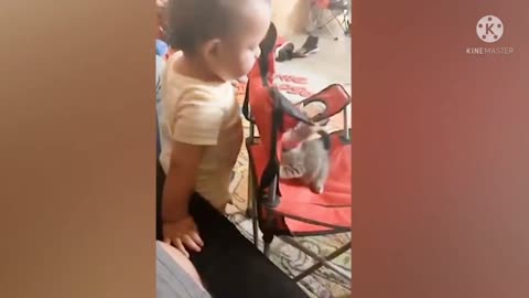 Cautest baby and caute cats entertainment video