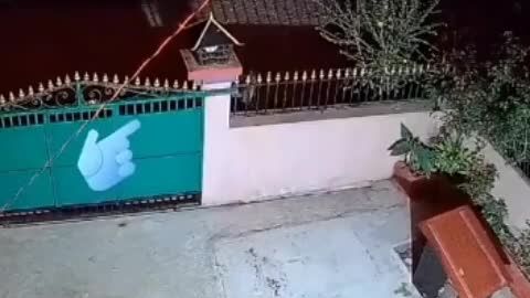 Leopard attacks neighbouror dog shocking video