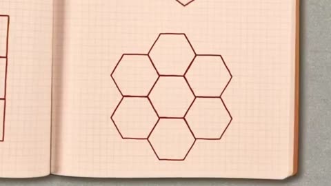 The bees worked hard to build the hive, and finally they decided that the hexagon was the best fit