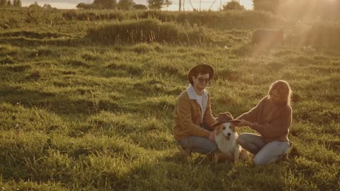 Young married couple taking border collie dog with them for walk or date