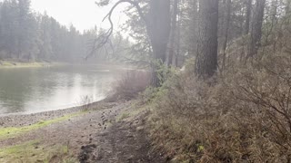 Exploring the Wilderness Deschutes River Trail – Central Oregon – 4K