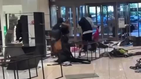A gang of criminals destroyed a Nordstrom store in a mall in California yesterday
