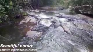 Beautiful Nature (A flowing river)