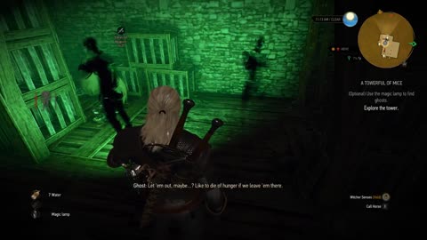 The Witcher 3: A Towerful of Mice part 1