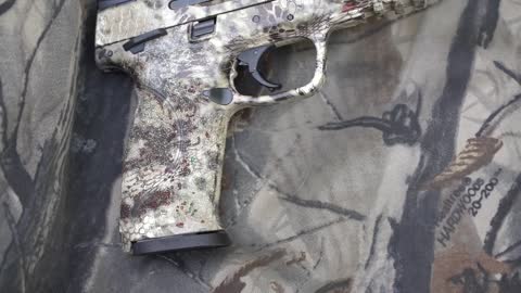 HYDRODIPPING A PISTOL