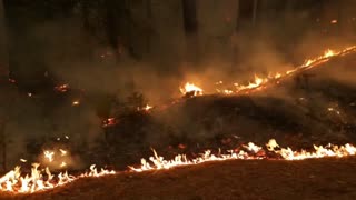 Incendio en California: más de 550 viviendas destruidas [Video]