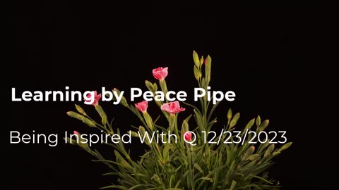 Learning By Peace Pipe 12/23/2023
