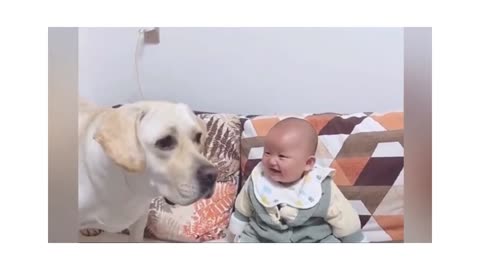 Cute Baby With His Cute Dog😍🥰