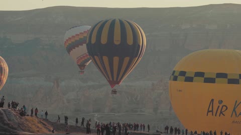 A Festival Of Hot Air Balloons