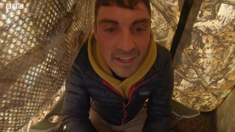 Finding Little Owls in an Abandoned Mine | After We've Gone | BBC Earth