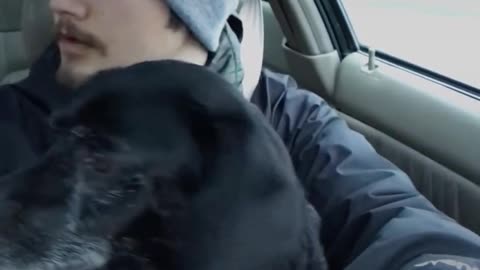 Pizza Guy Rescues Dog During A Delivery | The Dodo