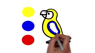 Drawing and Coloring for Kids - How to Draw Parrot