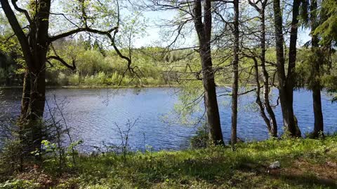 Ilgio ežero pažintinis takas 4K | ILGIO lake 4k nature