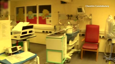 British nurse murdered seven newborn babies