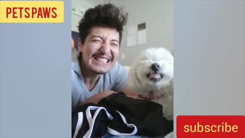 Look What These Funny Dogs Made Their Owners Do