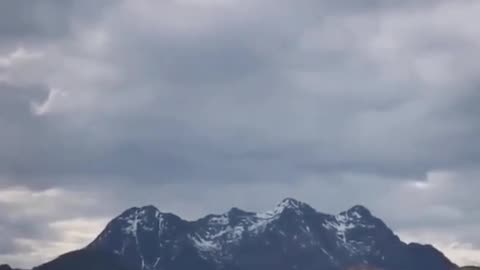 An Eagle Catching Thrown Food MidAir #Eagle #hunting