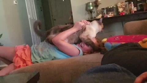 Cat gets very angry bites little girl face