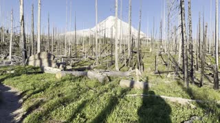 Hiking with Mount Hood Views on Tilly Jane Trail – Oregon – 4K