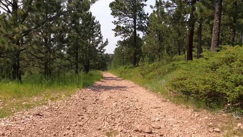 82”Trail 838.2D Reuter Trailhead Black Hills National Forest Wyoming