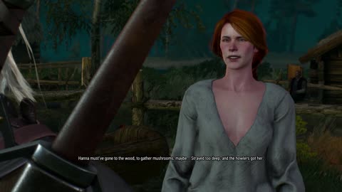The Witcher 3 - Wild at Heart