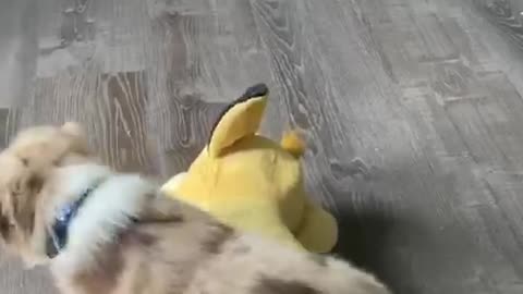 Brave puppy VS Lion King Simba