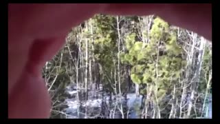 Bigfoot in Colorado Breakdown