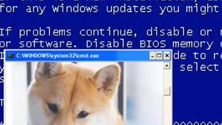 Warning: Your Computer Might Have Been Infected