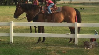 Innovative Little Girl Finds Way Back On Horse