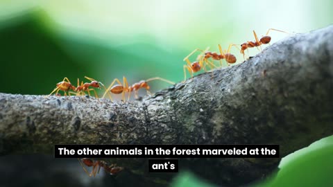 Ants Life Lessons | Best Motivation Video