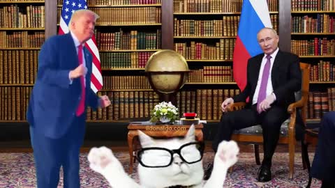 Trump, Vlad and the Cat - YMCA! 😆😆😆