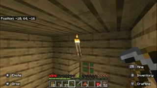 Minecraft Survival Guide, Episode 1: The Basics