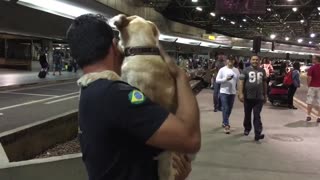 Ecstatic Dog Feels Overwhelming Happiness Upon Seeing Owner Again