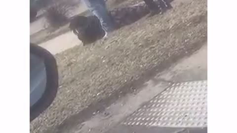Milwaukee car thief receives street justice after causing multiple vehicle accident.
