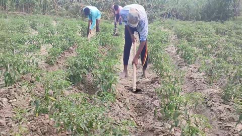 Village Life India Daily Routine In UP || Real Life India In Uttar Pradesh Farmer